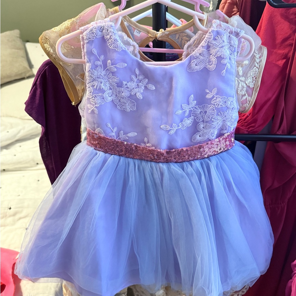 Elegant Lavender and Pink Princess Dress